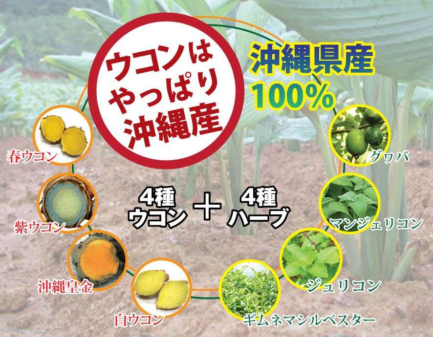 琉球 酒豪伝説は、二日酔い対策に最適？