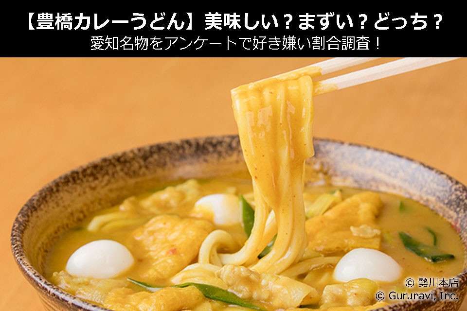 【豊橋カレーうどん】美味しい?まずい?どっち?愛知名物をアンケートで好き嫌い割合調査!