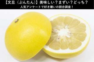 【文旦（ぶんたん）】美味しい？まずい？どっち？人気アンケートで好き嫌いの割合調査！
