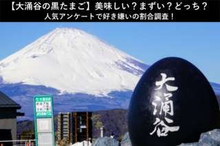 【大涌谷の黒たまご】美味しい？まずい？どっち？人気アンケートで好き嫌いの割合調査！