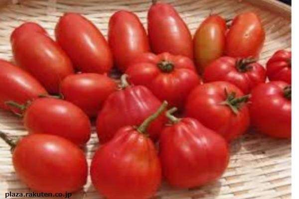 【イタリアントマト】の魅力