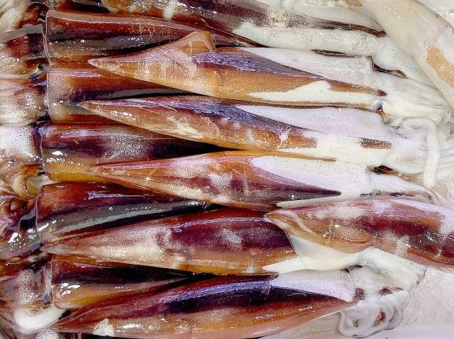【魚醤いしる】の特徴・魅力