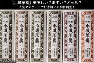 【小城羊羹】美味しい？まずい？どっち？人気アンケートで好き嫌いの割合調査！