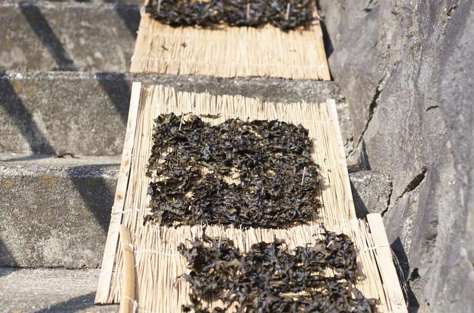 【はばのり】の商品紹介