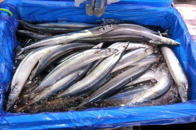 サンマは栄養価抜群!【サンマ】に含まれる栄養素と効能