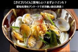 【ガマゴリうどん】美味しい？まずい？どっち？愛知名物をアンケートで好き嫌い割合調査！