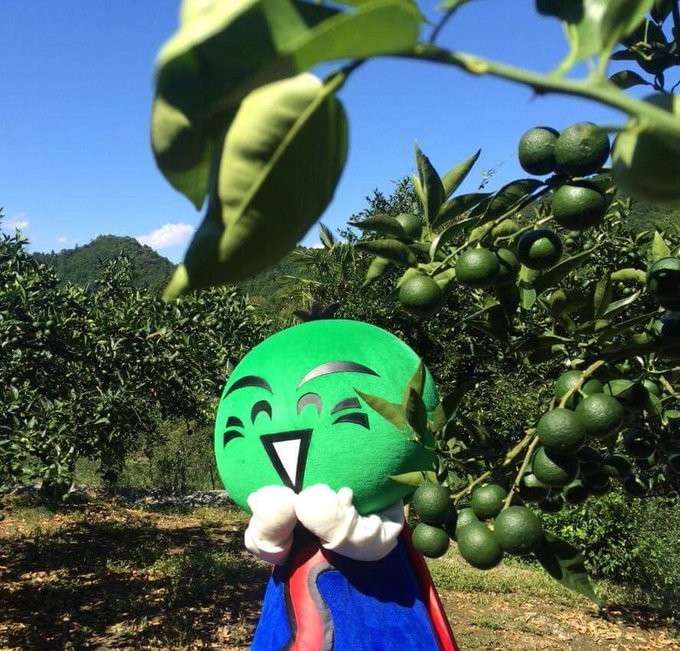 【ザ・すだち】の特徴・魅力