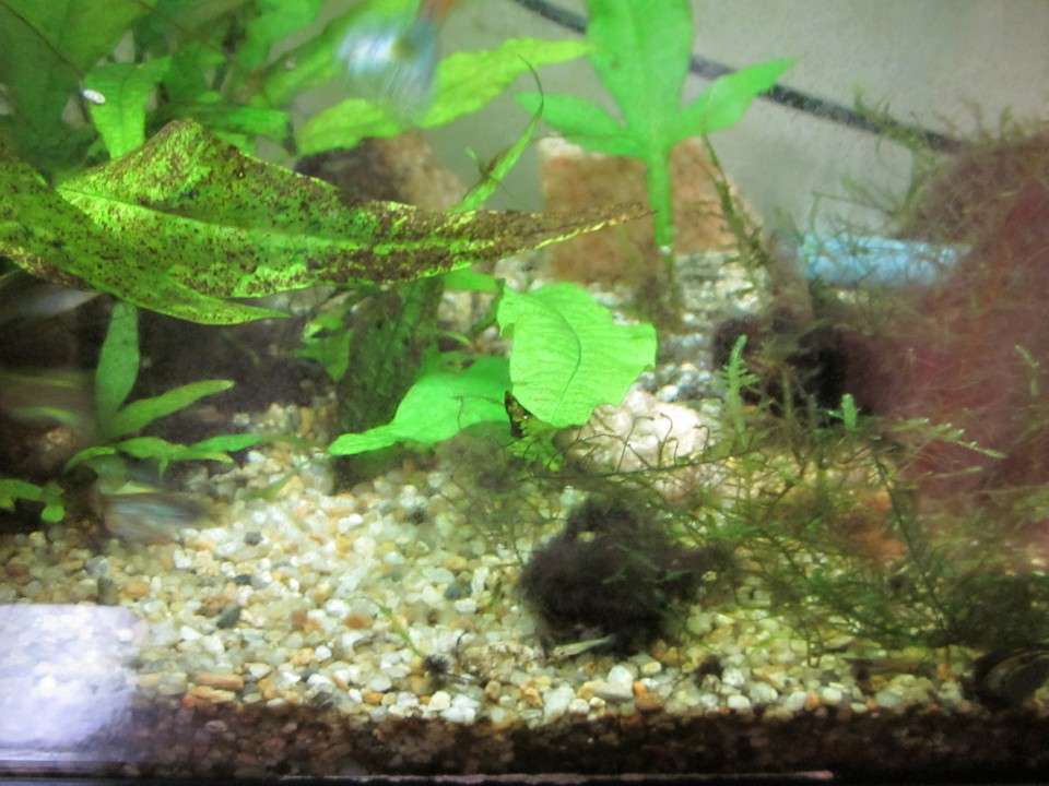 【キパワーソルト】の魅力