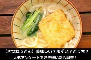 【きつねうどん】美味しい？まずい？どっち？人気アンケートで好き嫌い割合調査！