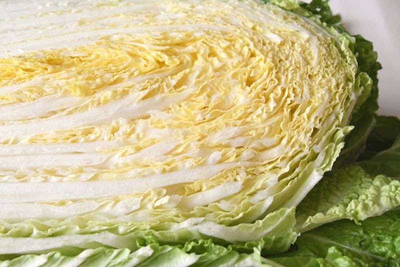 白菜はほとんど水?【白菜】に含まれる栄養素と効能