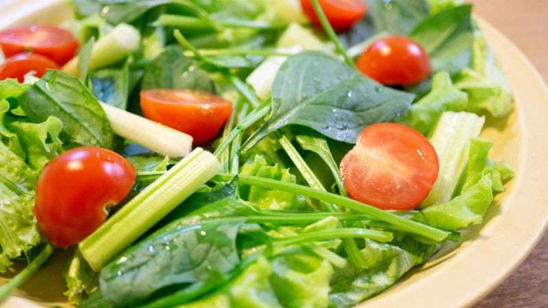 ほうれん草は栄養価抜群!【ほうれん草】に含まれる栄養素と効能