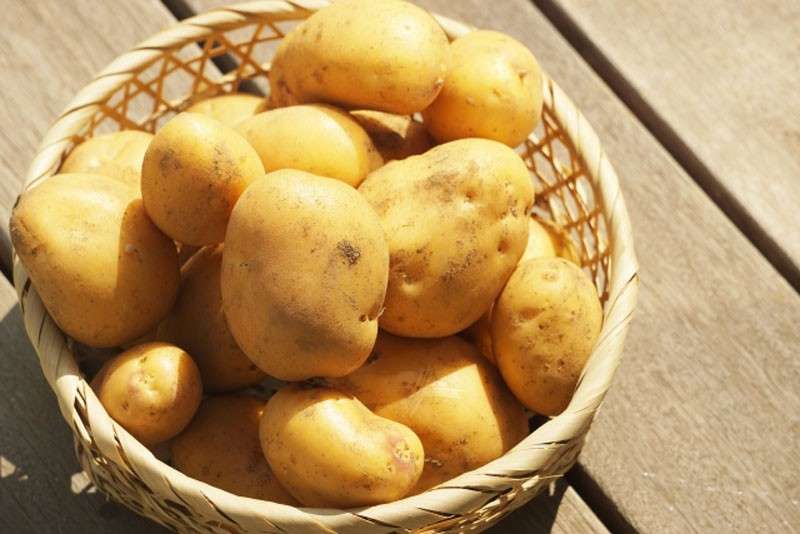【ジャガイモ】の特徴・魅力