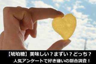 【琥珀糖】美味しい？まずい？どっち？人気アンケートで好き嫌いの割合調査！
