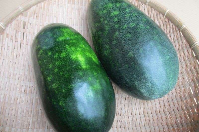 【冬瓜】の商品紹介
