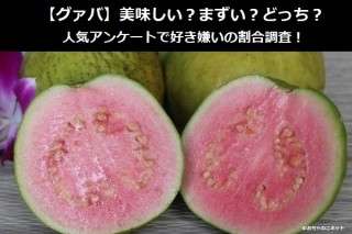 【グァバ】美味しい？まずい？どっち？人気アンケートで好き嫌いの割合調査！