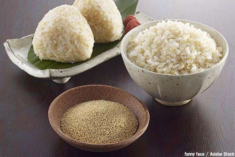 【アマランサス】の特徴・魅力