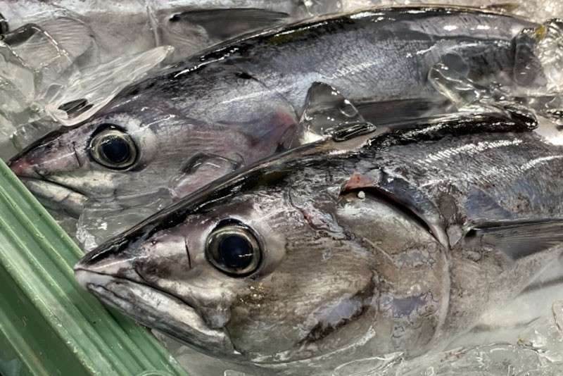 カツオは栄養価抜群!【カツオ】に含まれる栄養素と効能