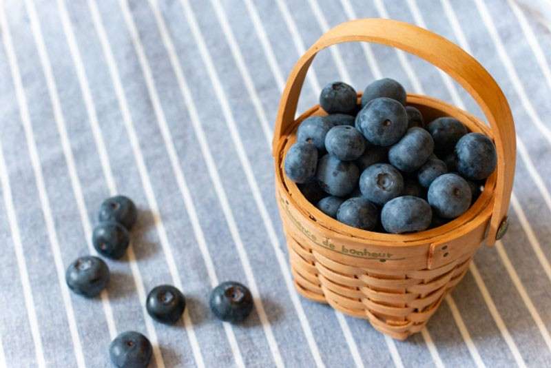 ブルーベリーは栄養価抜群!【ブルーベリー】に含まれる栄養素と効能