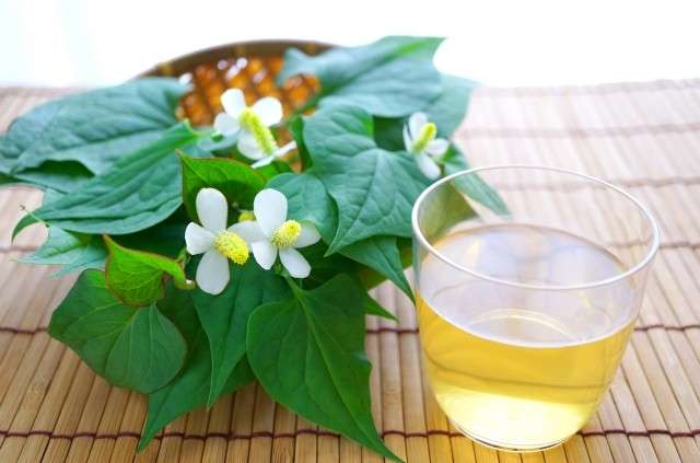 【どくだみ茶】の特徴・魅力