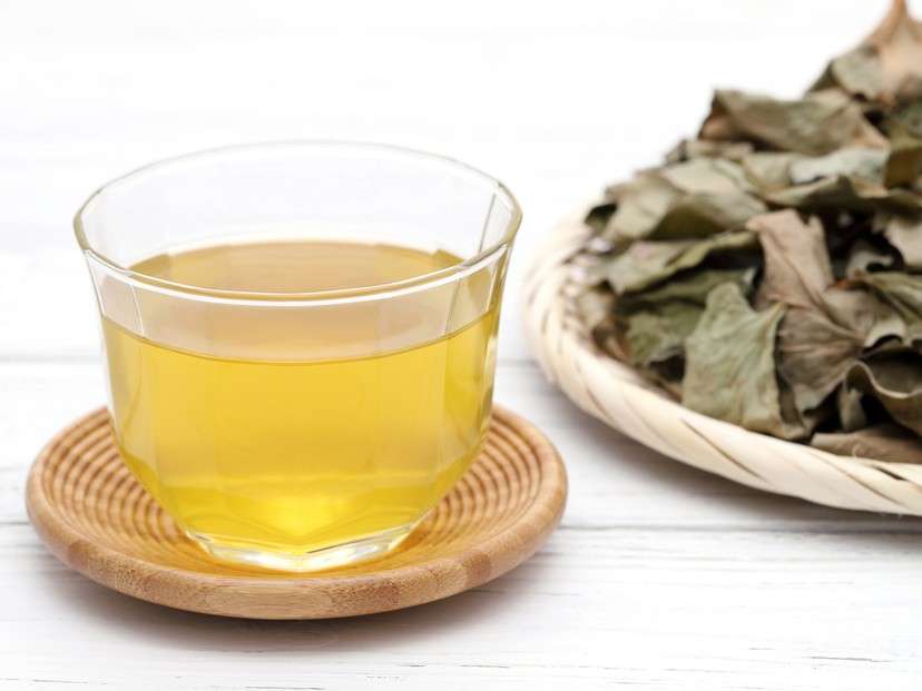 どくだみ茶の魅力