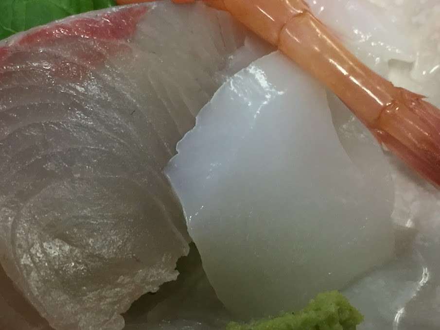 ソデイカの魅力