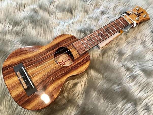 【ウクレレをはじめるなら】コアロハの特徴・魅力