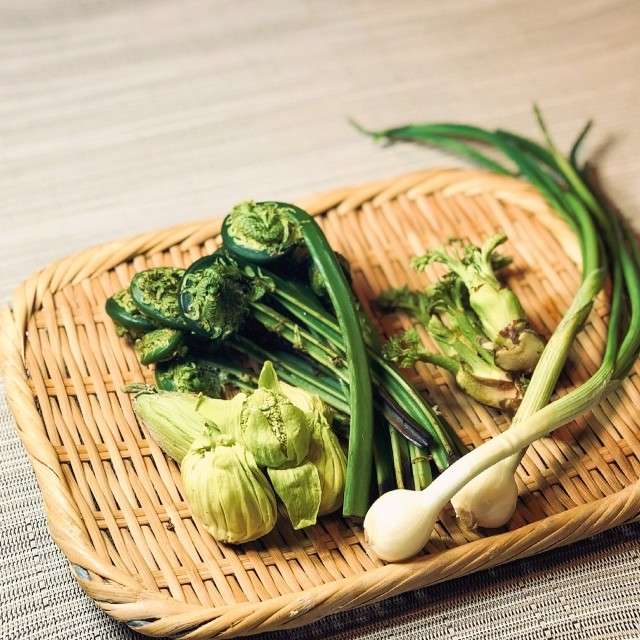 【ふきのとう】は好き嫌いが分かれる?