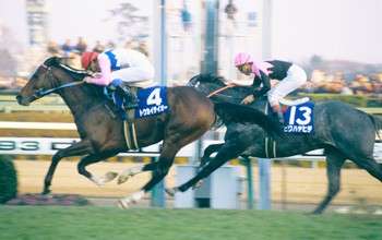 【ウマ娘 プリティーダービー】モデルになった史実のトウカイテイオーはどんな馬？