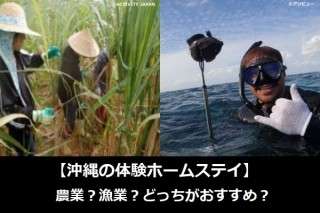 【沖縄の体験ホームステイ】農業？漁業？どっちがおすすめ？人気アンケートで比較調査！