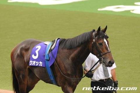 【ウマ娘 プリティーダービー】モデルになった史実のウオッカはどんな馬？