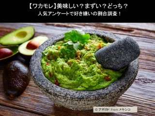【ワカモレ】美味しい？まずい？どっち？人気アンケートで好き嫌いの割合調査！
