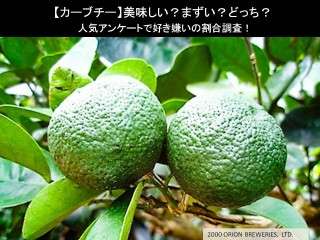 【カーブチー】美味しい？まずい？どっち？人気アンケートで好き嫌いの割合調査！