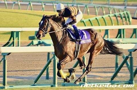 【ウマ娘 プリティーダービー】モデルになった史実のキタサンブラックはどんな馬？