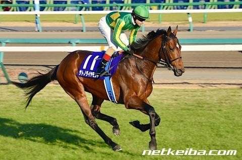 【ウマ娘 プリティーダービー】モデルになった史実のサトノダイヤモンドはどんな馬？
