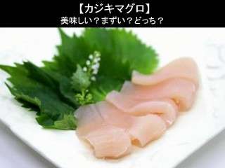 【カジキマグロ】美味しい？まずい？どっち？人気アンケートで好き嫌いの割合調査！