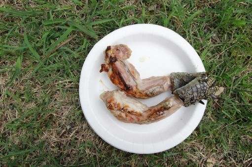 ワニ肉の特徴