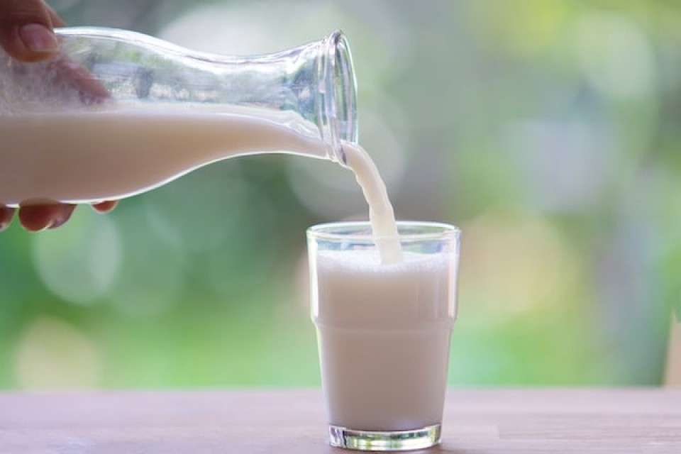 牛乳の画像