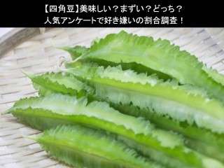 【四角豆】美味しい？まずい？どっち？人気アンケートで好き嫌いの割合調査！