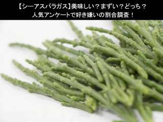 【シーアスパラガス】美味しい？まずい？どっち？人気アンケートで好き嫌いの割合調査！