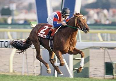 【ウマ娘 プリティーダービー】モデルになった史実のグラスワンダーはどんな馬？