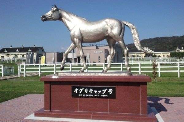 【ウマ娘 プリティーダービー】モデルになった史実のオグリキャップはどんな馬？