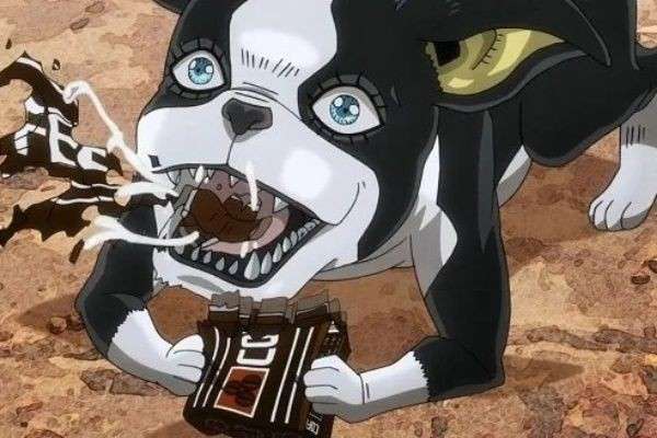 【ジョジョの奇妙な冒険 第三部】イギーのキャラ紹介