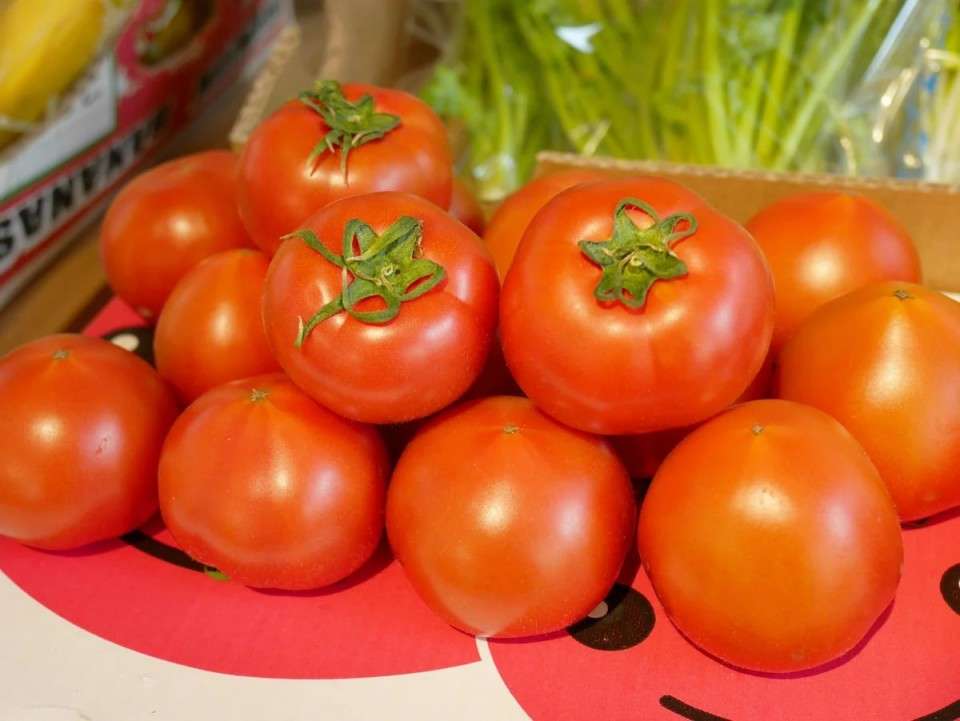 【フルーツトマト】の特徴・魅力