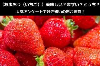 【あまおう（いちご）】美味しい？まずい？どっち？人気アンケートで好き嫌いの割合調査！