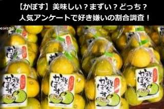 【かぼす】美味しい？まずい？どっち？人気アンケートで好き嫌いの割合調査！