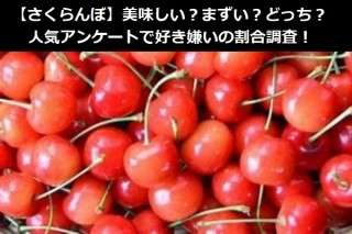 【さくらんぼ】美味しい？まずい？どっち？人気アンケートで好き嫌いの割合調査！