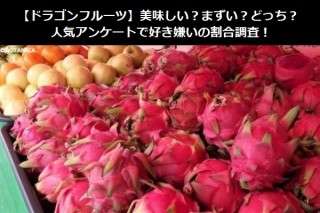 【ドラゴンフルーツ】美味しい？まずい？どっち？人気アンケートで好き嫌いの割合調査！