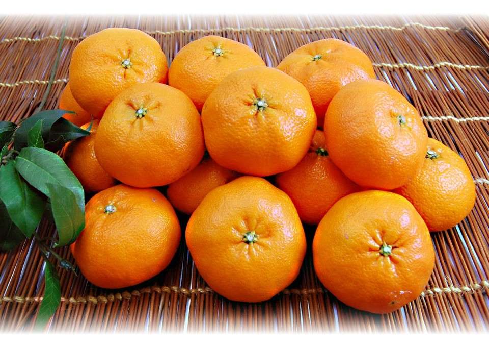 【甘平（かんぺい）】の評判