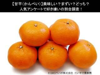 【甘平（かんぺい）】美味しい？まずい？どっち？人気アンケートで好き嫌いの割合調査！