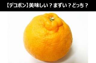 【デコポン】美味しい？まずい？どっち？人気アンケートで好き嫌いの割合調査！
